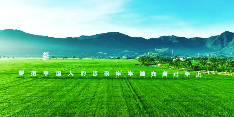 291716948201306883.png 5_副本.png