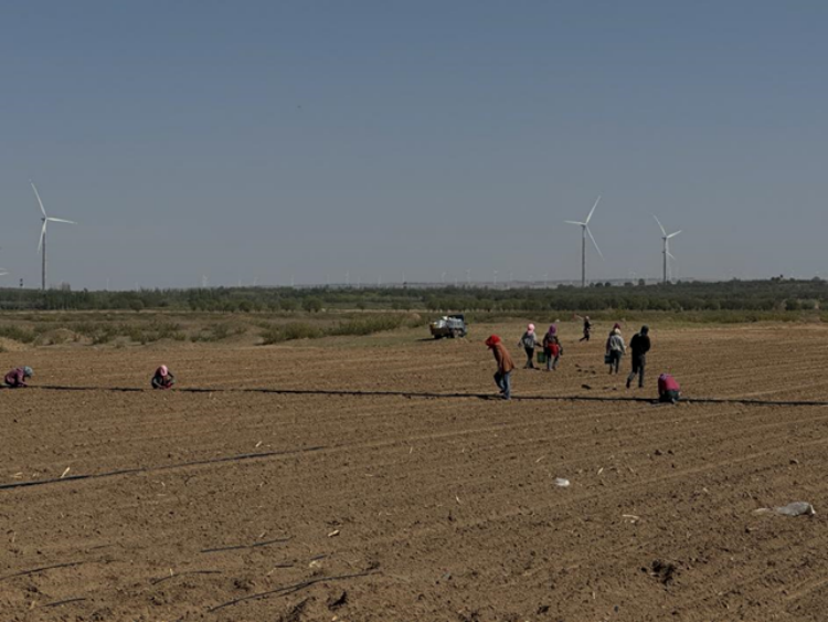 231747970564165650.png 图片1_副本.png